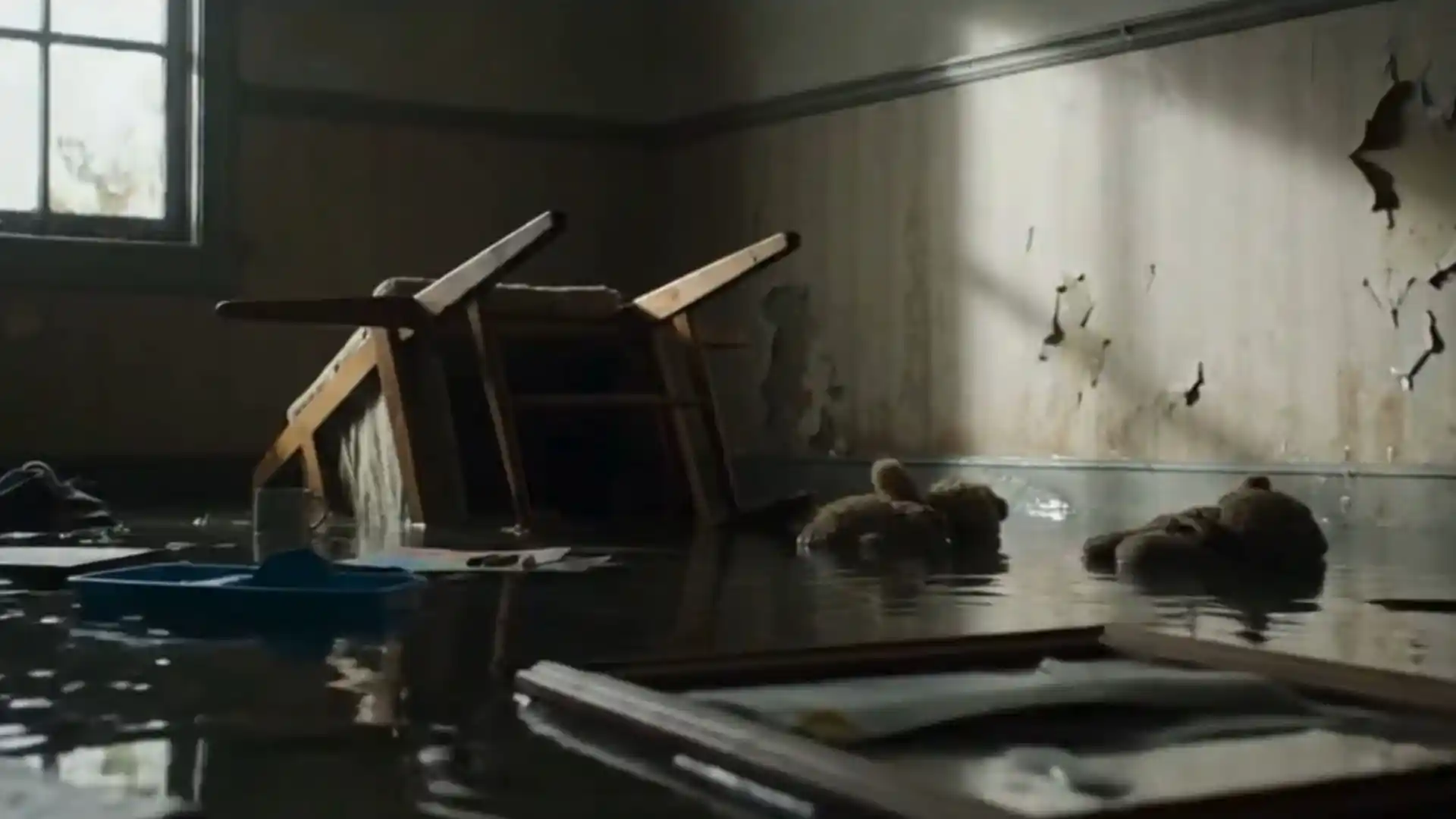 Flooded residential room with water damage from a burst pipe in a Westbury NY home